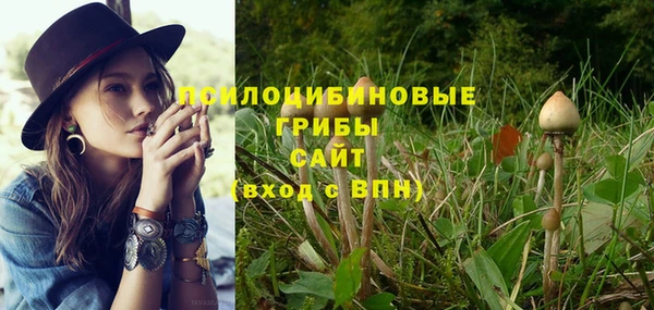 mdpv Алексин