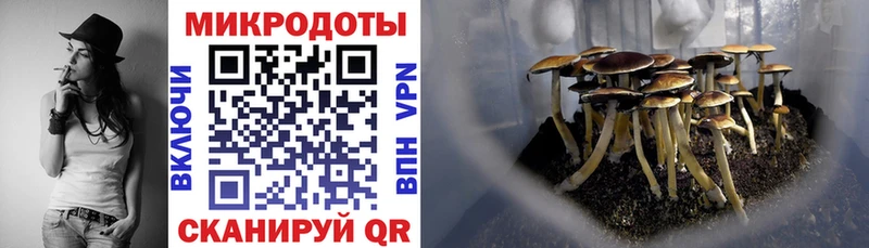 Псилоцибиновые грибы мицелий  блэк спрут онион  Сосновка 